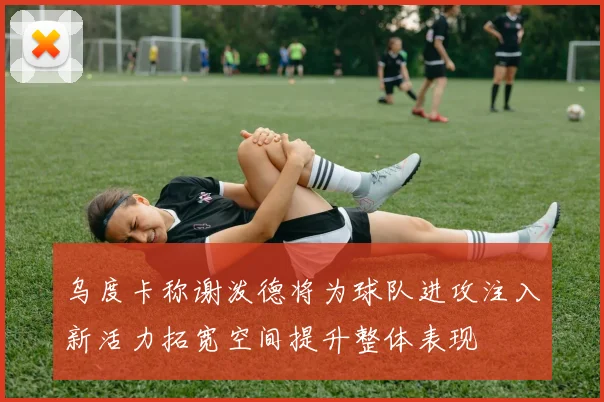 乌度卡称谢泼德将为球队进攻注入新活力拓宽空间提升整体表现