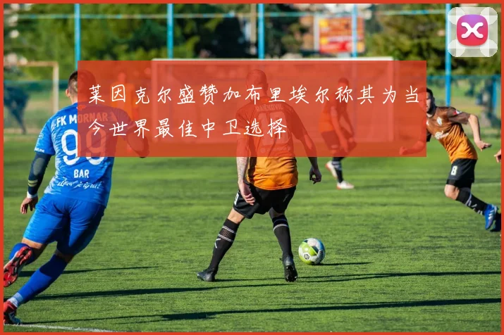 莱因克尔盛赞加布里埃尔称其为当今世界最佳中卫选择