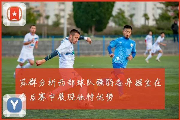 苏群分析西部球队强弱各异掘金在季后赛中展现独特优势