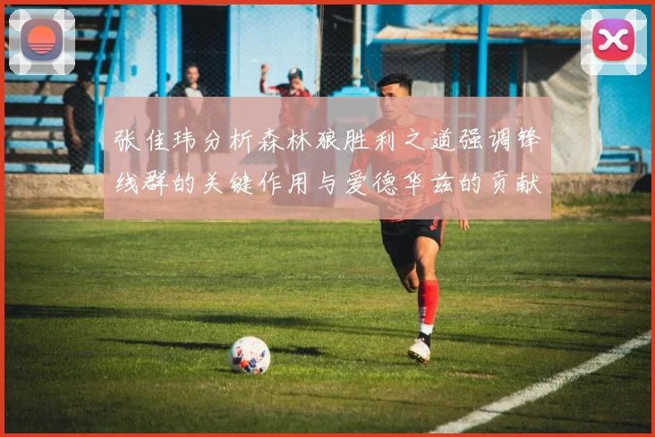 张佳玮分析森林狼胜利之道强调锋线群的关键作用与爱德华兹的贡献